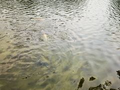 -金山植物公园