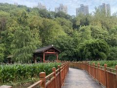 -重庆彩云湖湿地公园