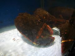 -利客来李村购物中心