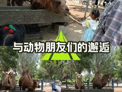 -长白岛森林公园