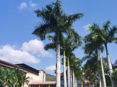 -铭轩中餐厅·海南菜·粤菜(亚龙湾瑞吉店)