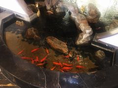 -冶春茶社(官园桥店)
