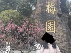 -无锡梅园公园
