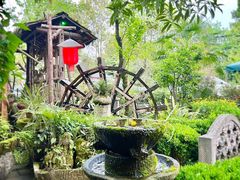 -青城甲(青城山店)