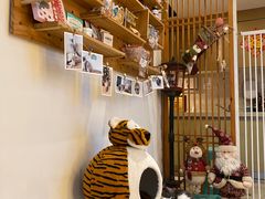 -Catmate·猫肥家润(金润铂宫店)