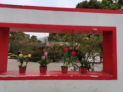 -南山植物园