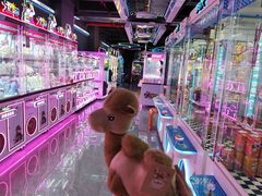 -杨记烤肉老店