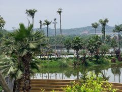 -枫香湖儿童公园