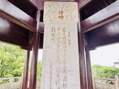 -观潮胜地公园