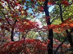 -九鼎铁刹山风景区