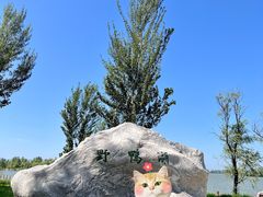 -野鸭湖国家湿地公园