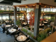 -拈菜(观音桥阳光世纪店)