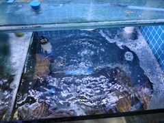 -面道赞宁海海鲜面(迎凤街店)