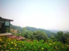 -远山有窑
