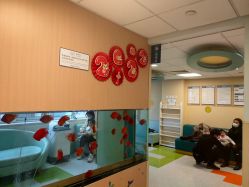 -杭州贝瑞斯美华妇儿医院·早孕·产检·儿科