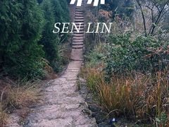 -五凤溪古镇