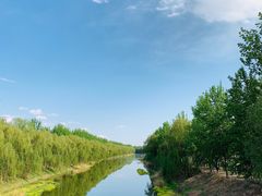 -东郊湿地公园