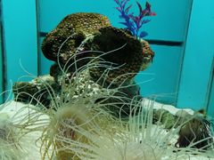 -横店影视城梦幻谷园区