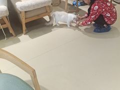 -藏猫猫咖啡主题馆(中央大道店)