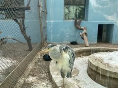 -青藏高原野生动物园