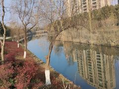 -皇粮浜湿地公园