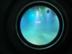 -白鹤梁水下博物馆
