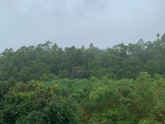 -广州莲花山旅游区