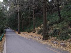 -金堂县云顶石城风景区