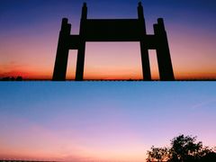 -宝安西湾红树林湿地公园