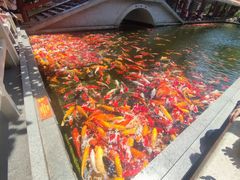 -番禺宾馆丽苑厅