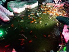 -泉城欧乐堡海洋极地世界