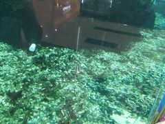 -鸿通城购物中心