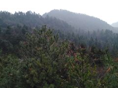 -秦岭天竺山景区