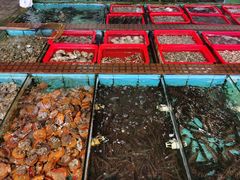 -景好海鲜餐厅(大鹏必选旅游店)