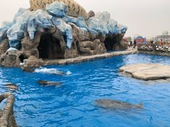 -华夏文旅海洋公园