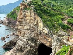 -杨梅坑