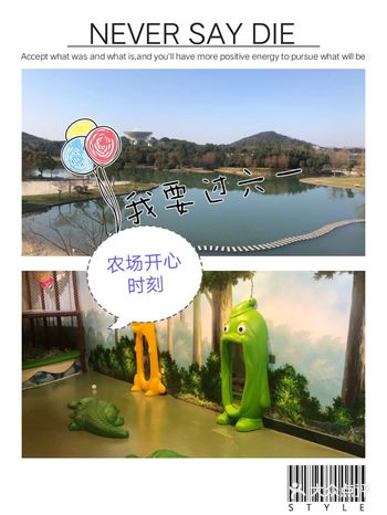 羊，小毛驴。小朋友们可以和各种动物亲密接触