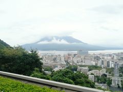 -振鼎鸡(丰庄路店)