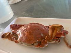 -大锅强·蒸海鲜青岛菜(吾悦广场店)