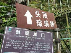 -藏龙百瀑风景区