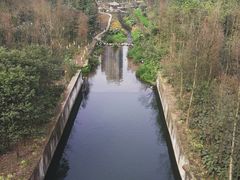 -重庆彩云湖湿地公园
