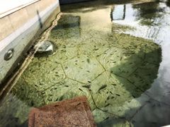 -苏州湾王焰温泉度假酒店