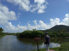 -亚龙湾国际玫瑰谷