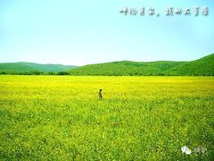 android_upload_pic-国梁烤鸡(八大局店)