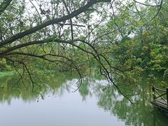 -西溪国家湿地公园