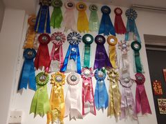 -有喵·猫咖·狗咖·30几只猫10只小狗(岗厦店)