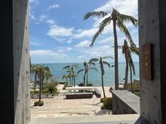 -日落吧·海景咖啡厅·餐酒吧·鸡尾酒·下午茶·乐队表演·浪漫夕阳·三亚文华东方酒店