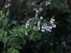 -中国茶叶博物馆(双峰馆区)