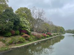 -上海海湾国家森林公园