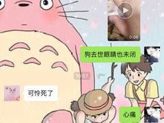 -申普宠物医院·心脏介入·心血管微创(总院)